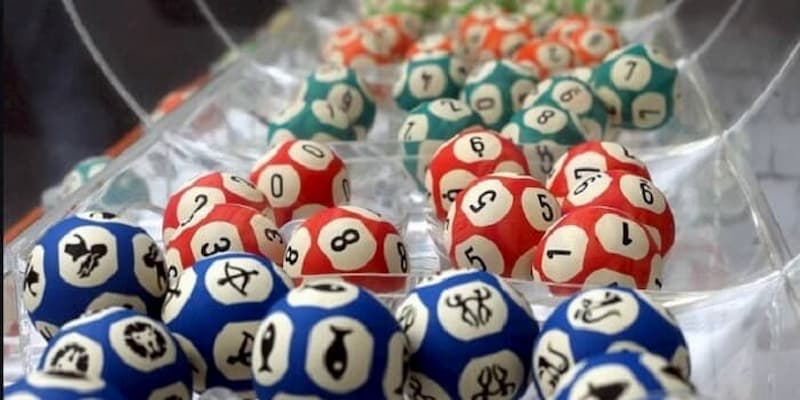 Đề ba càng Tại sao nên chọn Đề ba càng tại EE88